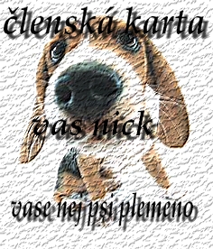 utnjhtžtr.jpg